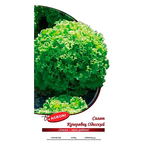 Salat Kucheryavets Odesskij (0,5g) (ts/p 1796)_1