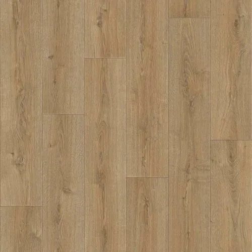 Linoleum PRAKTIKA BRUNO 2 2,5m (75 kv.m.)_1