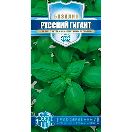 Bazilik Russkij gigant, zelenyj 0,1 g seriya Russkij bogatyr 