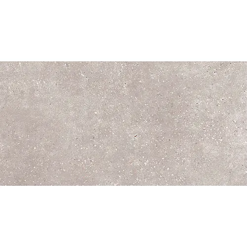 Keramogranit Coral Rock seryj 300h600 mat (GT183VG)(1.44kv.m)_1