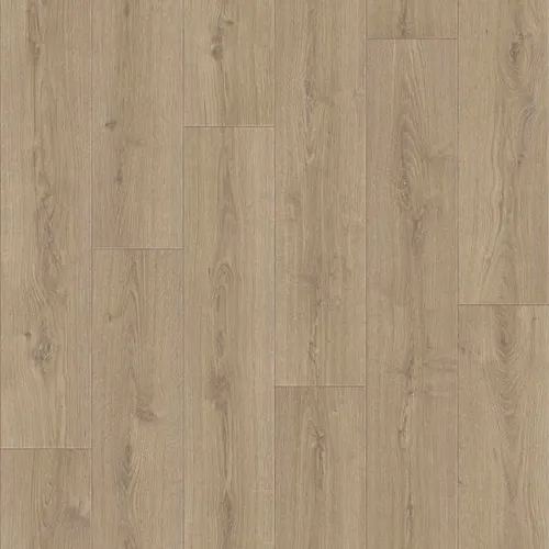 Linoleum PRAKTIKA BRUNO 1 3,0m (72 kv.m.)_1