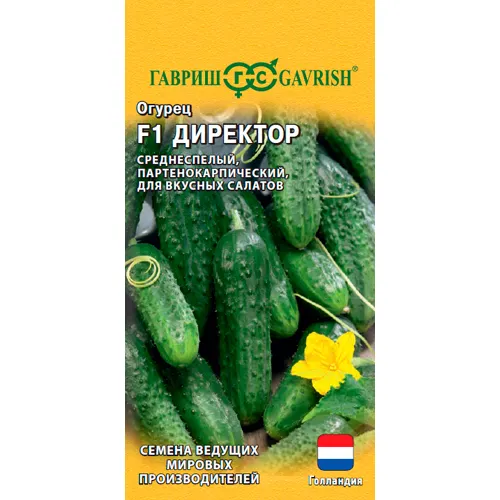 Ogurets Direktor F1 5 sht. (Gollandiya) 
