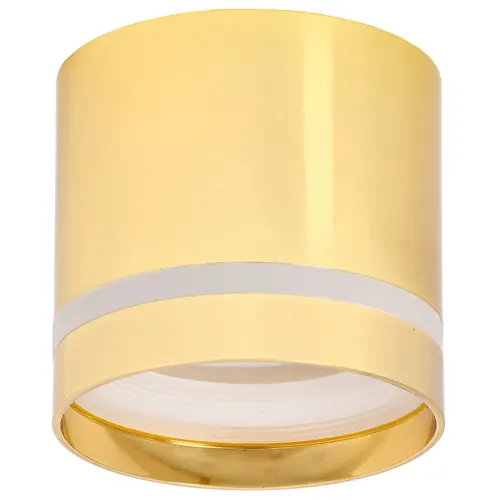 LIGHTING Svetilnik 4016 nakladnoj potolochnyj pod lampu GX53 zoloto IEK_1