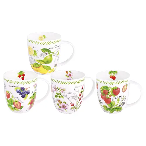 Kruzhka 420ml f.derbi, Fruit garden (4 diz) BD-M450-922_1