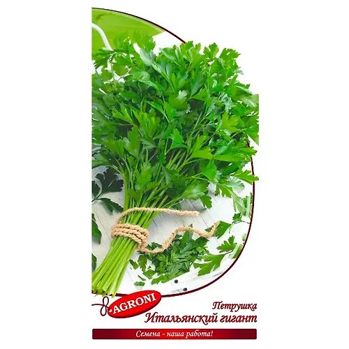 Petrushka Italyanskij gigant (2,0g) (ts/p 4797)_1