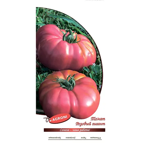 Tomat Rozovyj gigant (0,1g) (ts/p 5364)_1