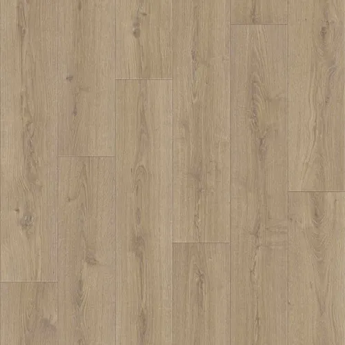 Linoleum PRAKTIKA BRUNO 1 4,0m (107,2 kv.m.)_1