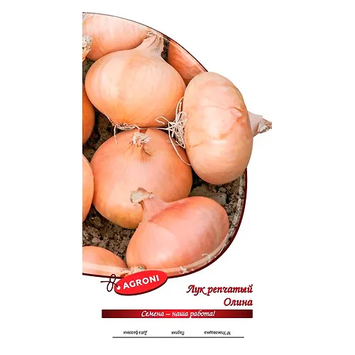 Luk repchatyj Olina (1,0g) (ts/p 6029)_1