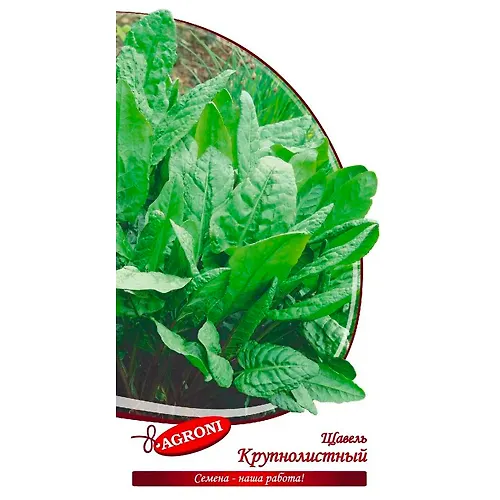 SCHavel krupnolistnyj (1,0g) (ts/p 3899)_1