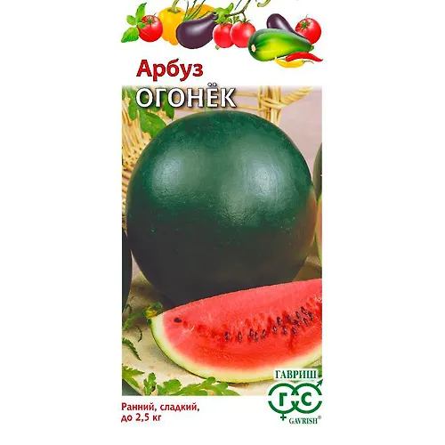 Arbuz Ogonek 1,0 g 