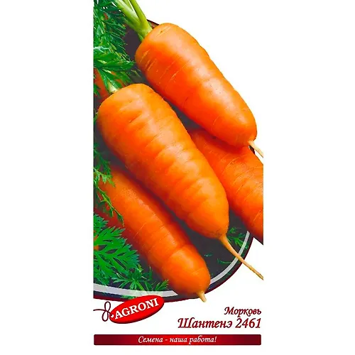 Morkov SHantene 2461 (2,0g) (ts/p 1598)_1