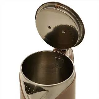 CHajnik DELTA DL-1109 plastik DVOJNAYA STENKA,1500 Vt, 2l, bezhevyj(12)_3