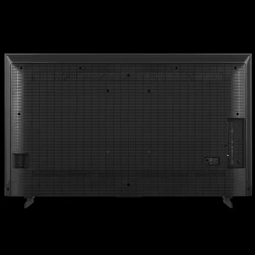 Televizor 55