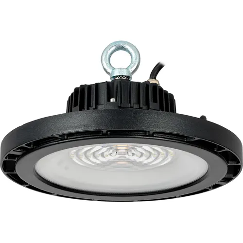 PRO Svetilnik DSP 3020 100Vt 90gr 5000K IP65 IEK_1