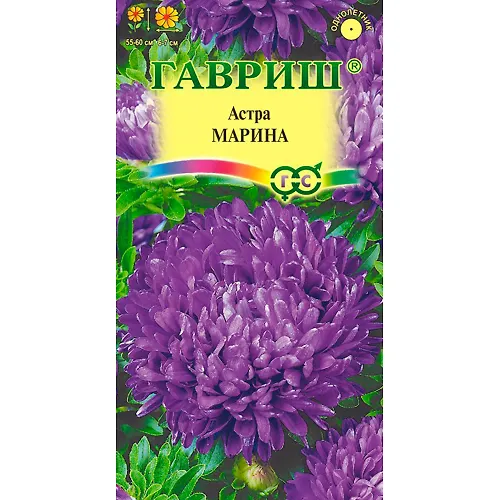 Astra Marina, odnoletnyaya (voronezhskaya fioletovaya) 0,3 g 